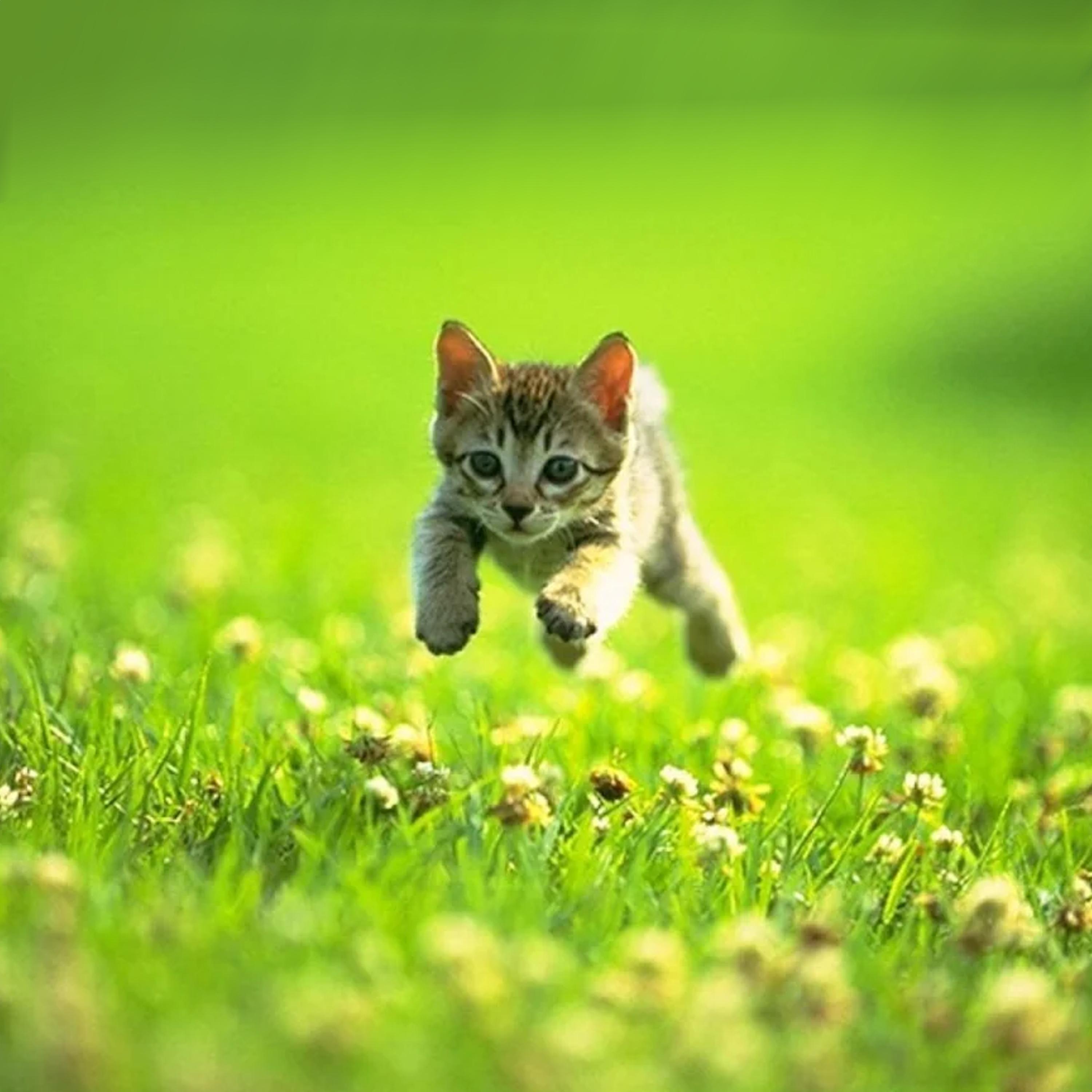 STILL NO LOVE (feat. Lil Wayne, Curren$y, Big Pun & Obie Trice)