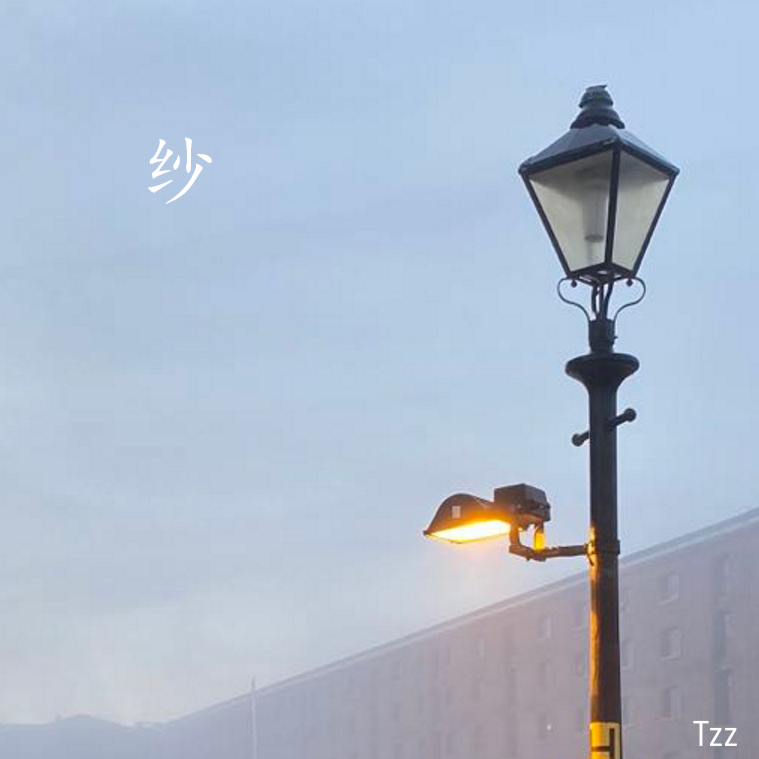 纱 (gauze)封面