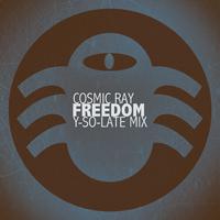 Freedom (Y-So-Late Mix)