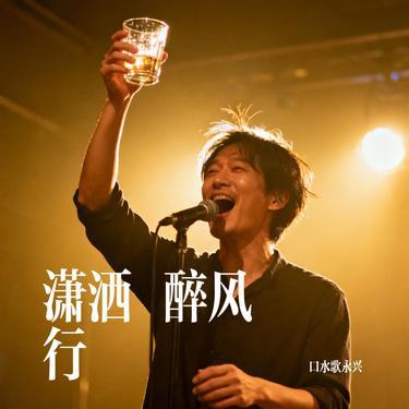 潇洒 醉风行封面