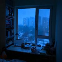 海