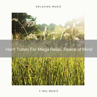 Hard Tunes For Mega Relax, Peace of Mind