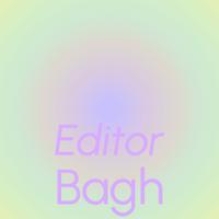 Editor Bagh