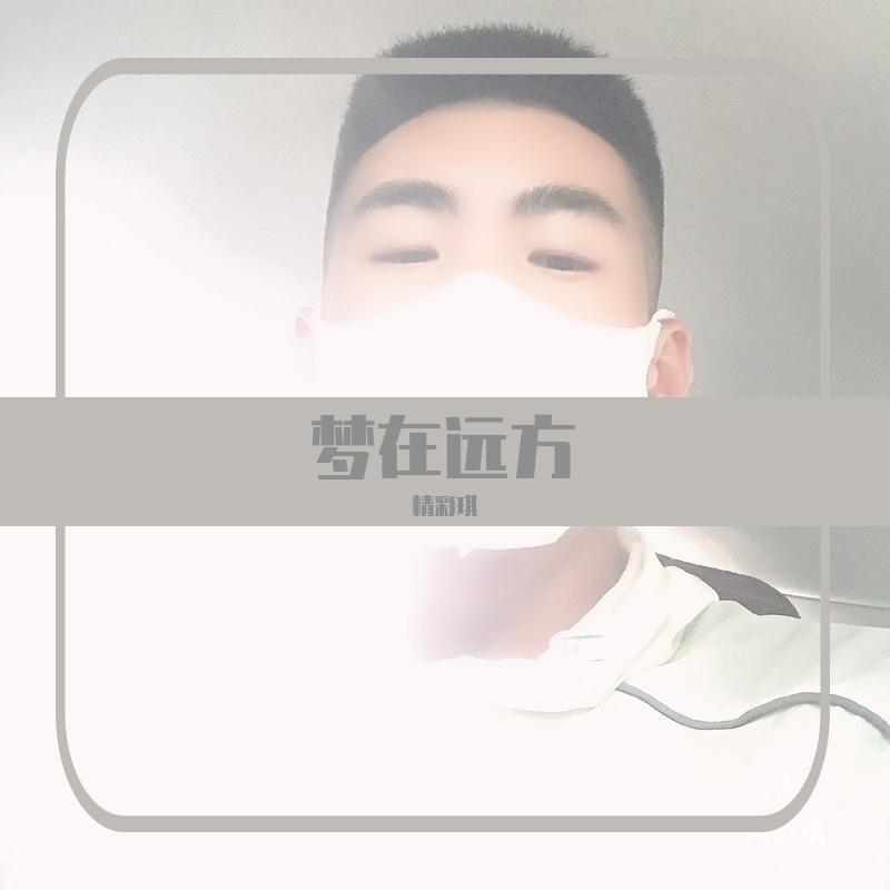寒冬向北Remix - 精彩琪封面