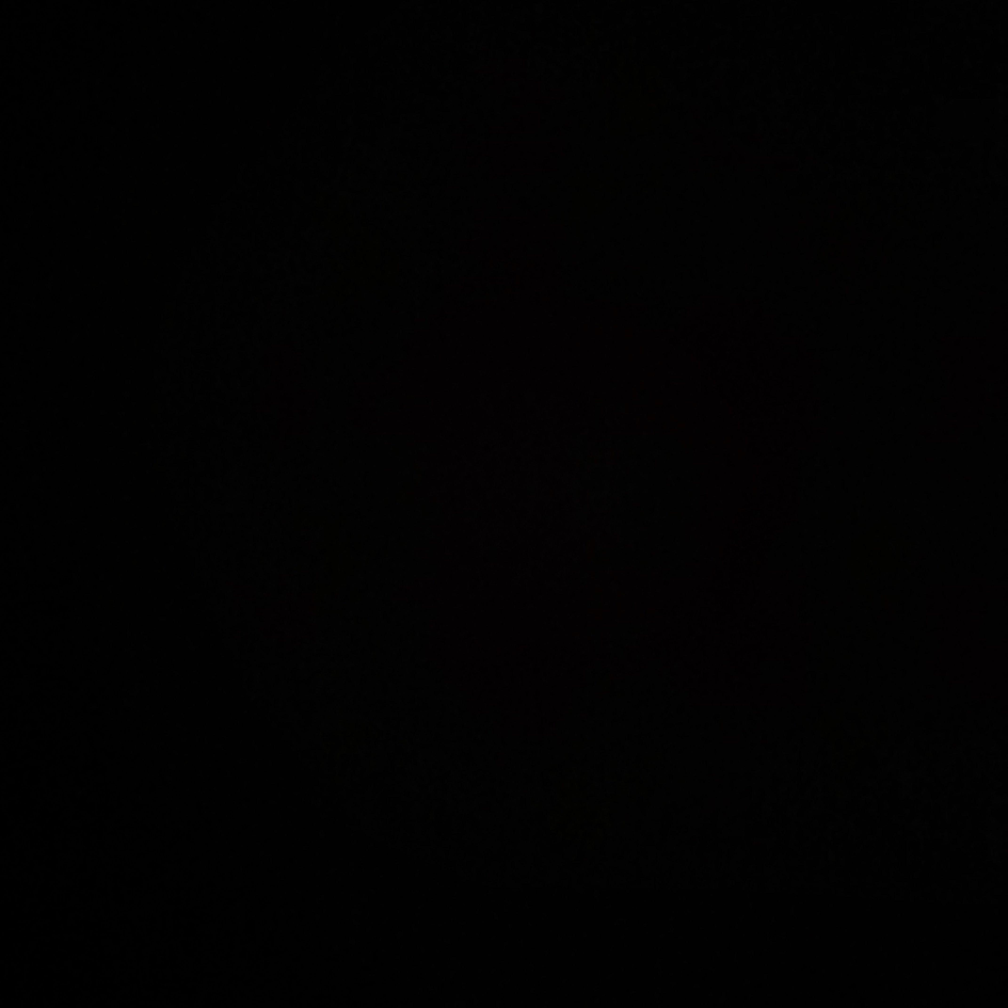 ----早--期--作--品----