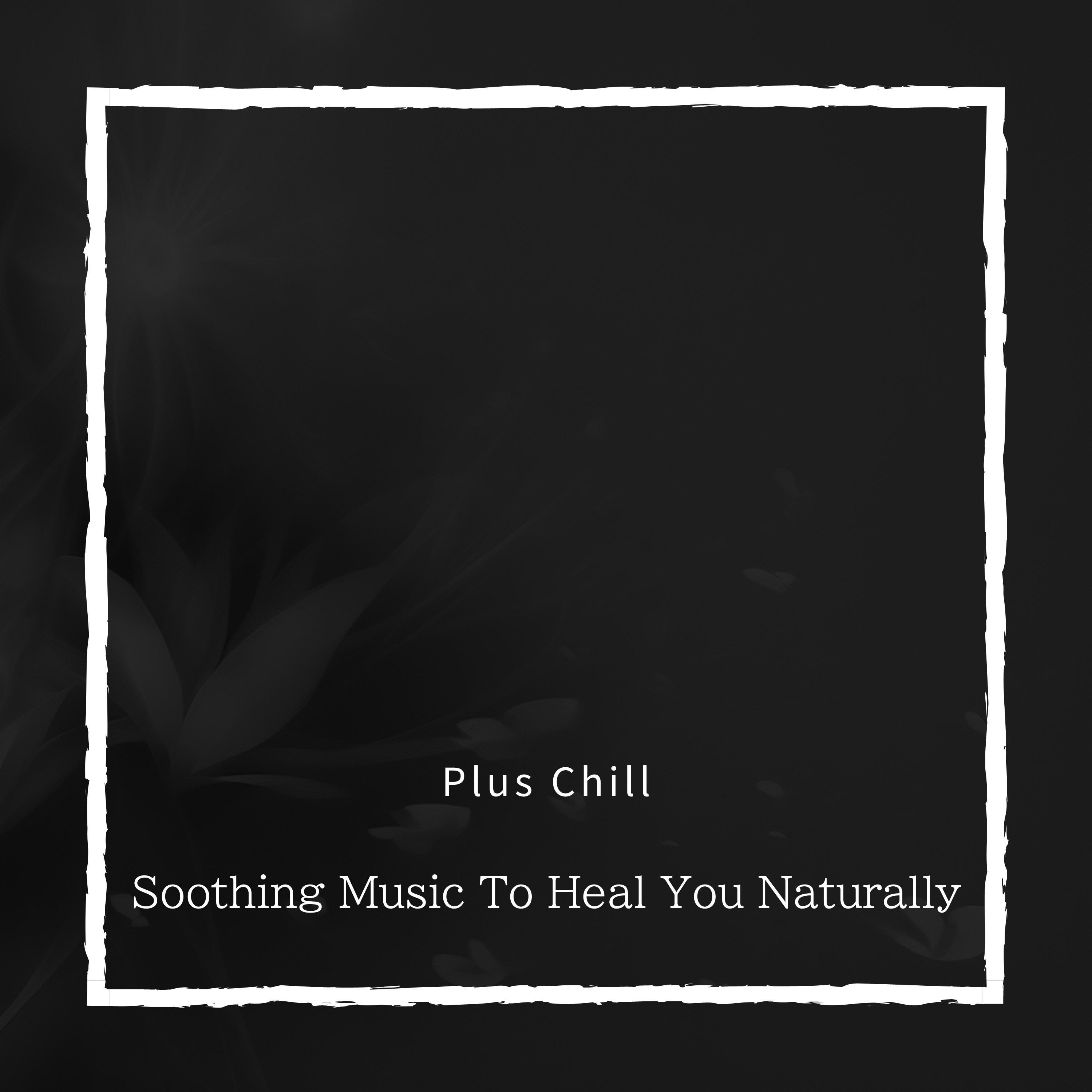 A Day in the Sunshine