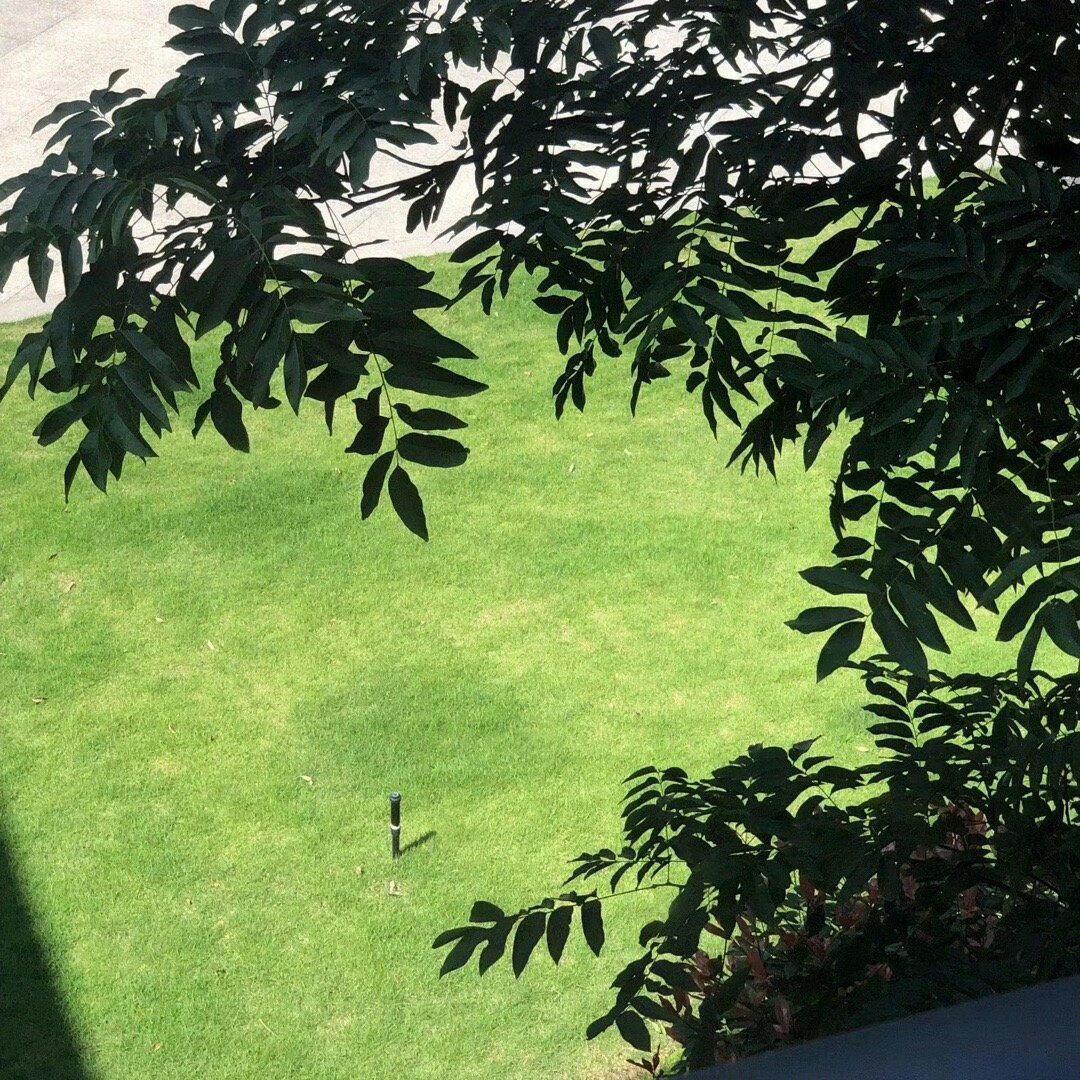 就要活得不懂艺术封面