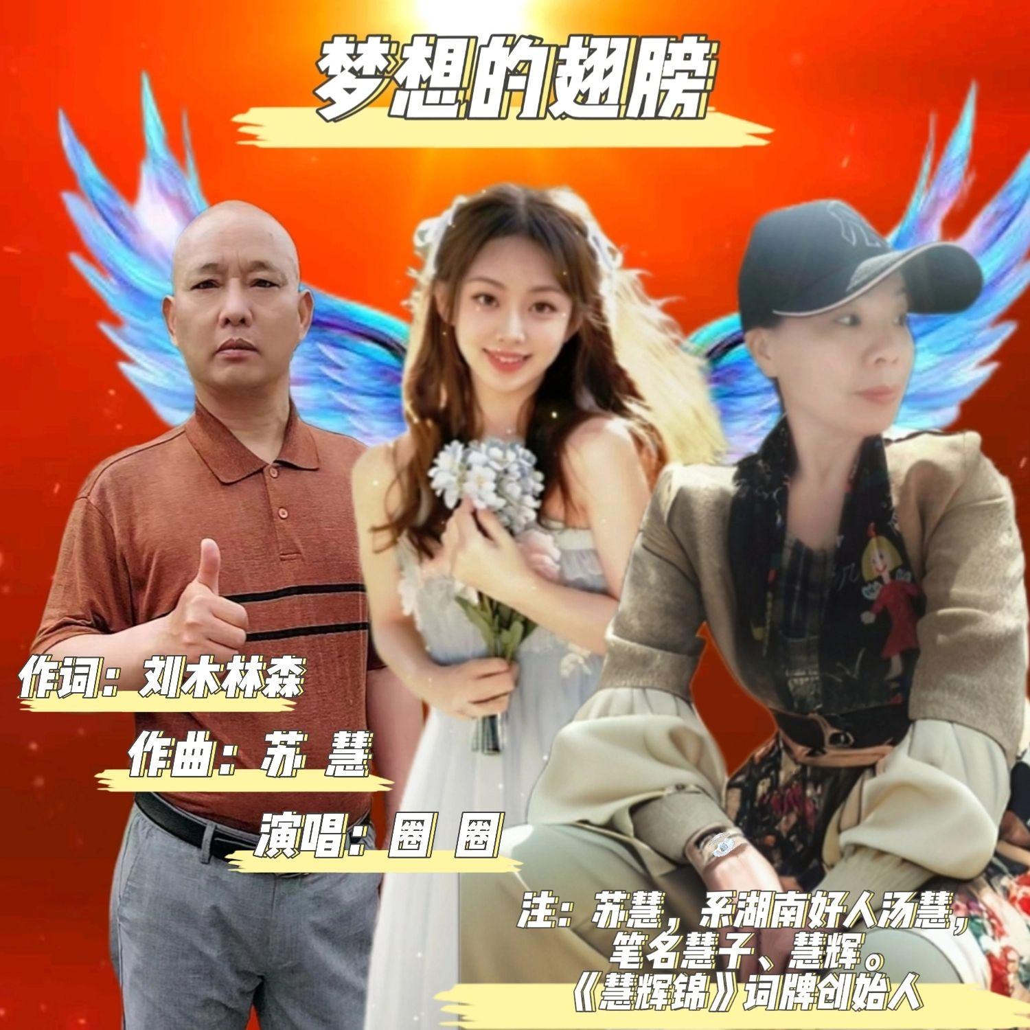 梦想的翅膀（伴奏）封面