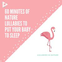 60 Minutes of Nature Lullabies to Put Your Baby to Sleep