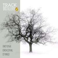 Emotional Orchestral Strings