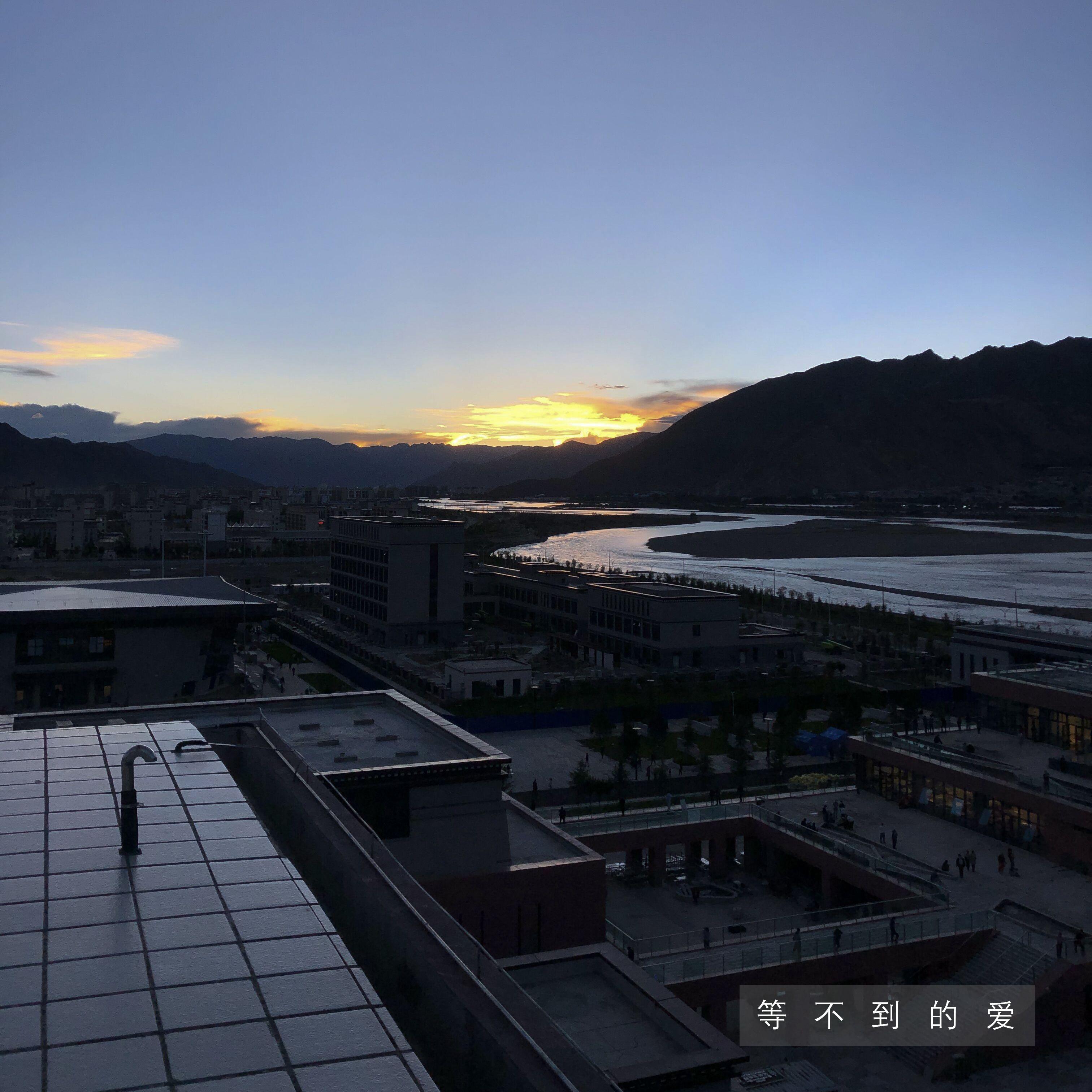 等不到的爱封面