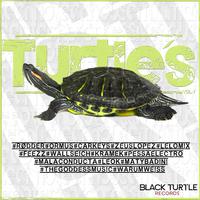 Turtle´s, Vol. 1