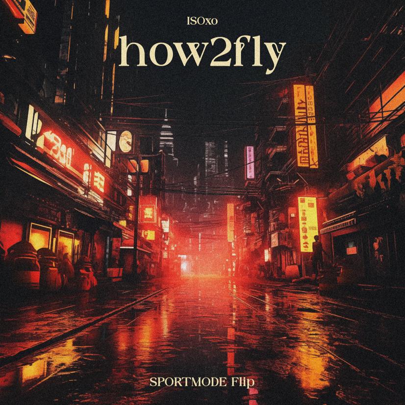 how2fly (SPORTMODE Flip)
