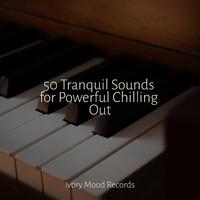 50 Tranquil Sounds for Powerful Chilling Out