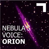 Nebula's Voice: Orion