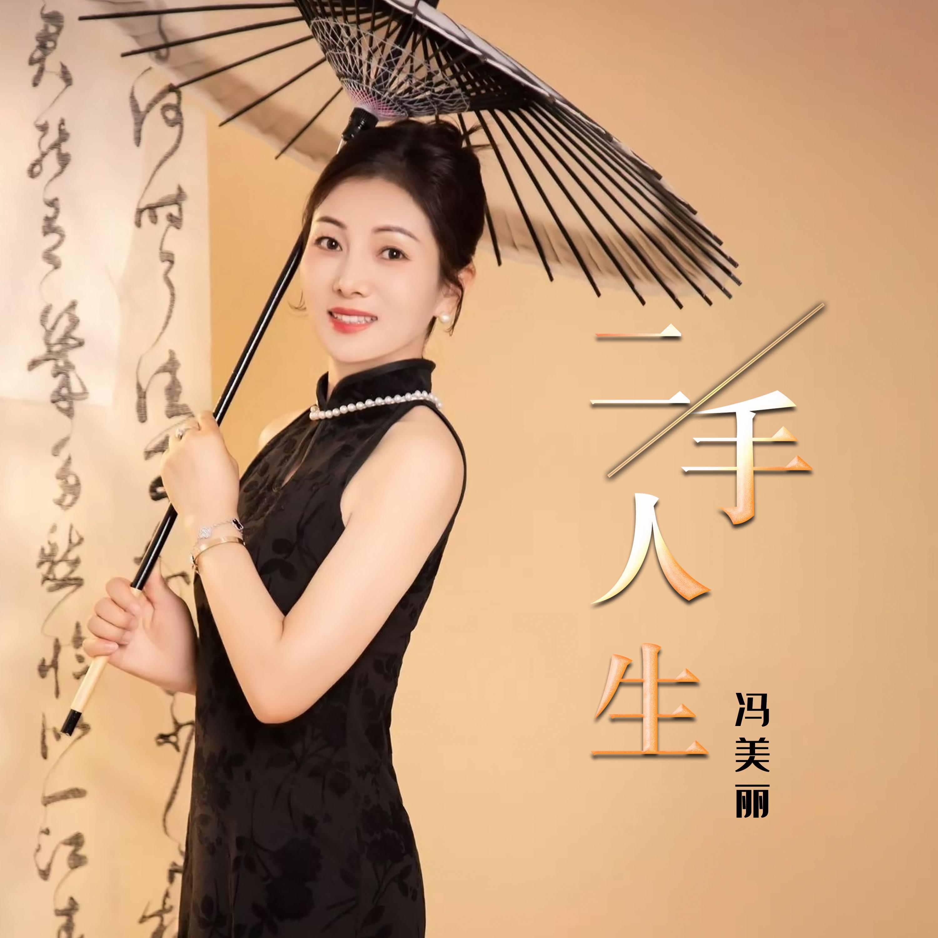 二手人生 (Dj何鹏版)封面