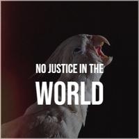 No Justice In The World