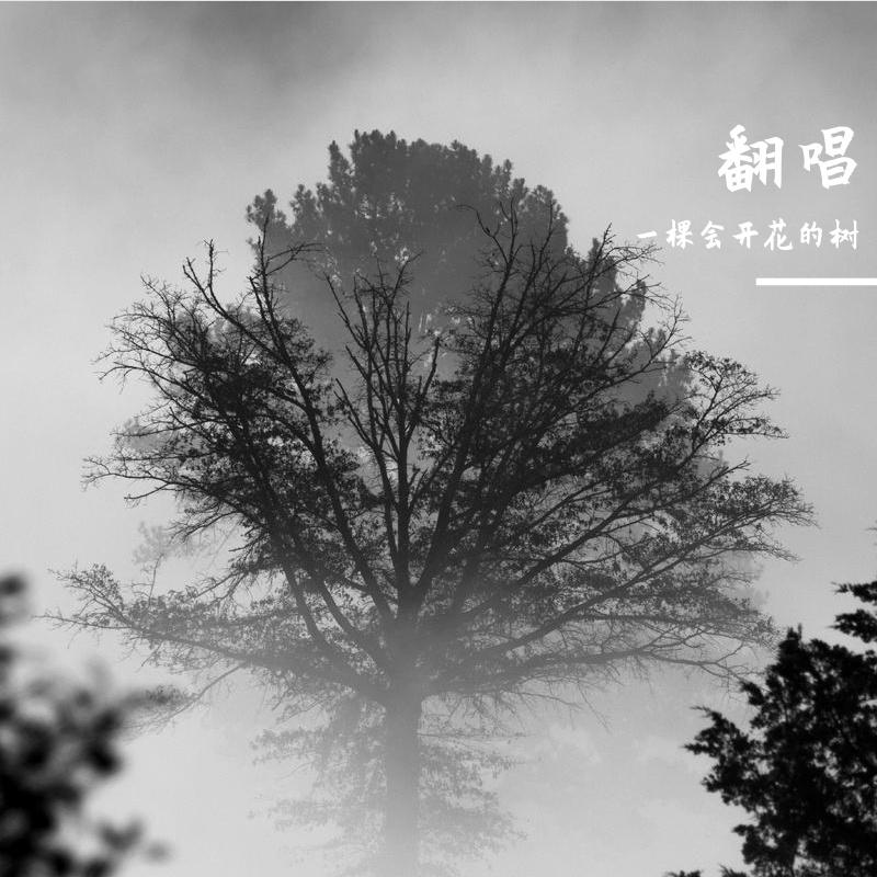 走马封面