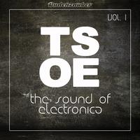 TSOE (The Sound of Electronica), Vol. 1