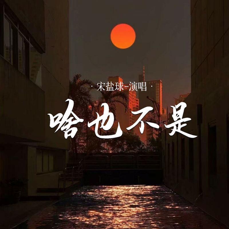 啥也不是 (DJ俊海版伴奏)封面