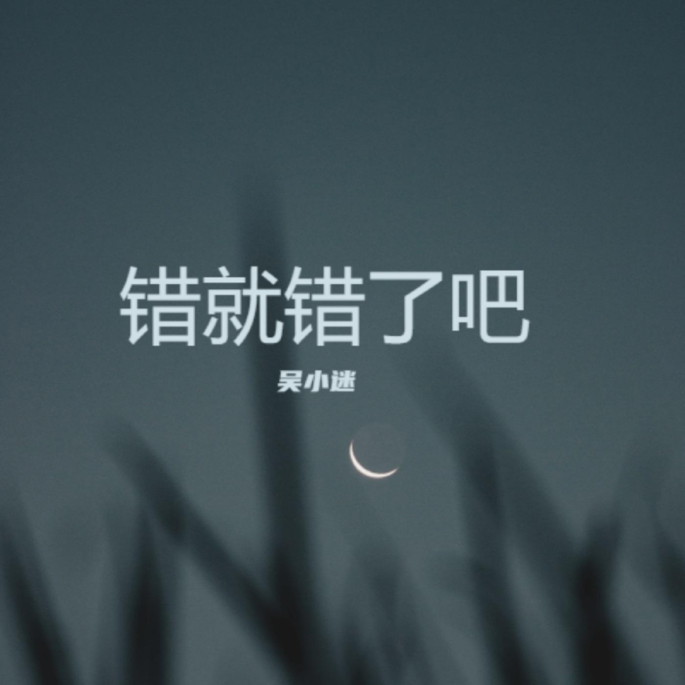 错就错了吧.Wav封面