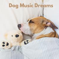 Dog Music Dreams