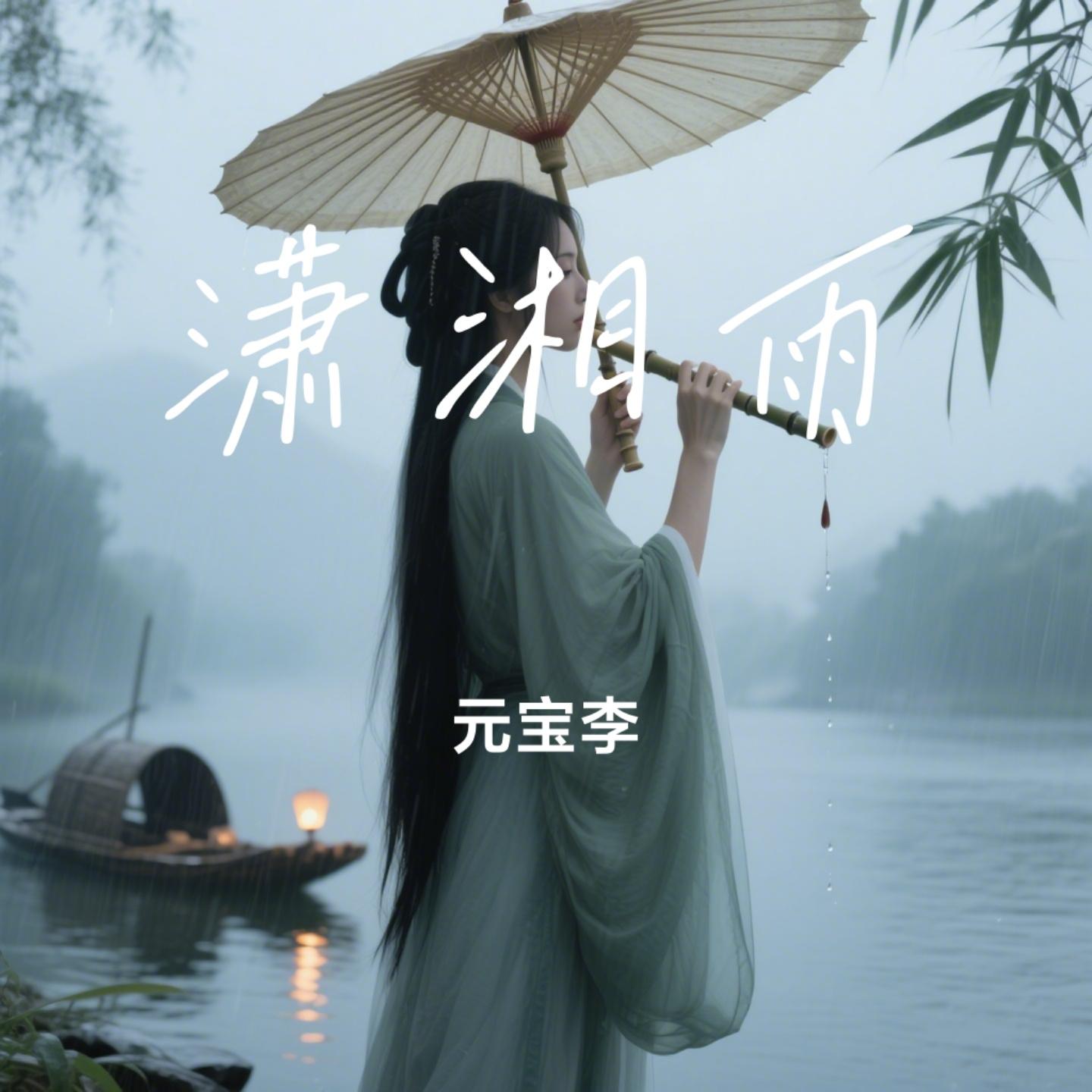潇湘雨封面