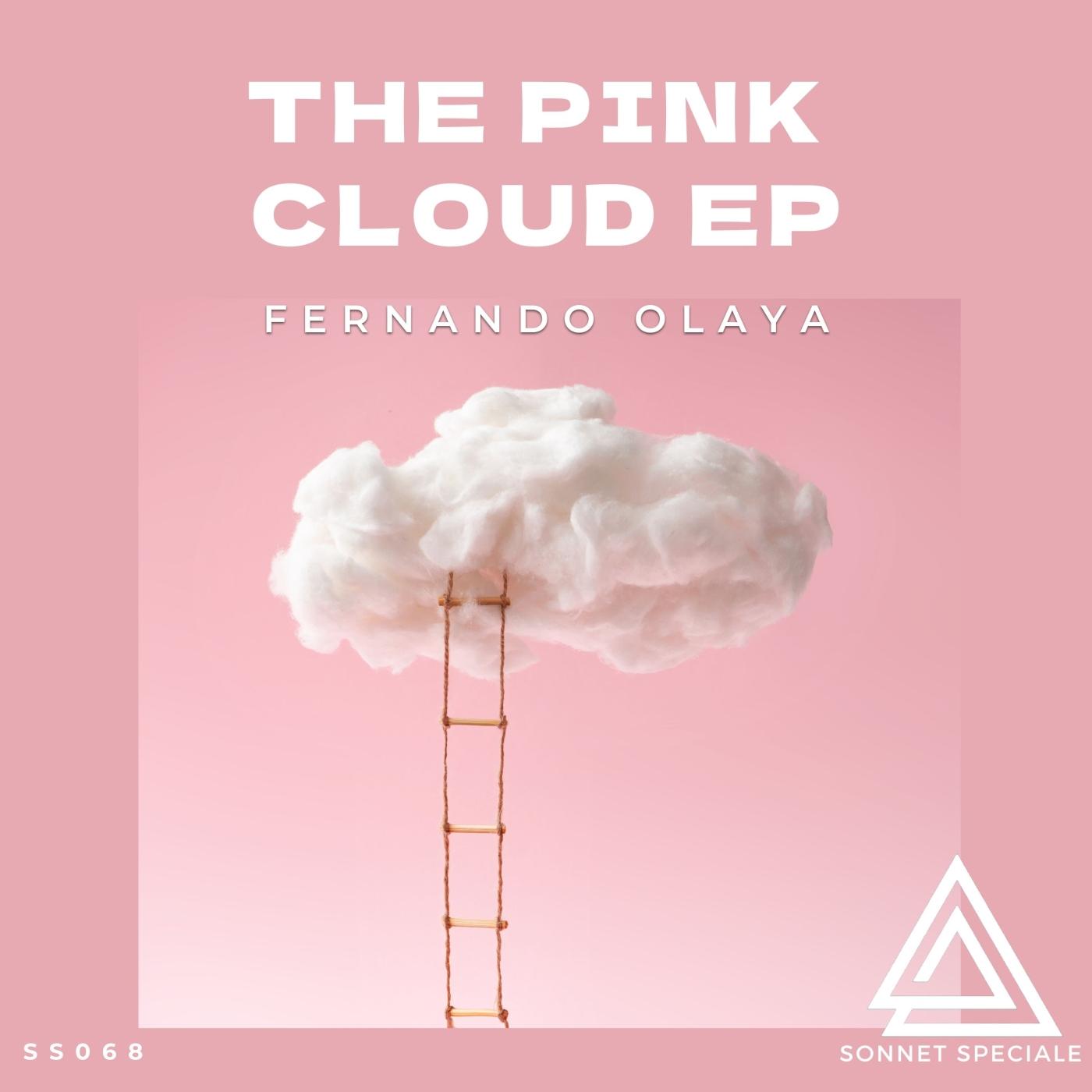 The Pink Cloud