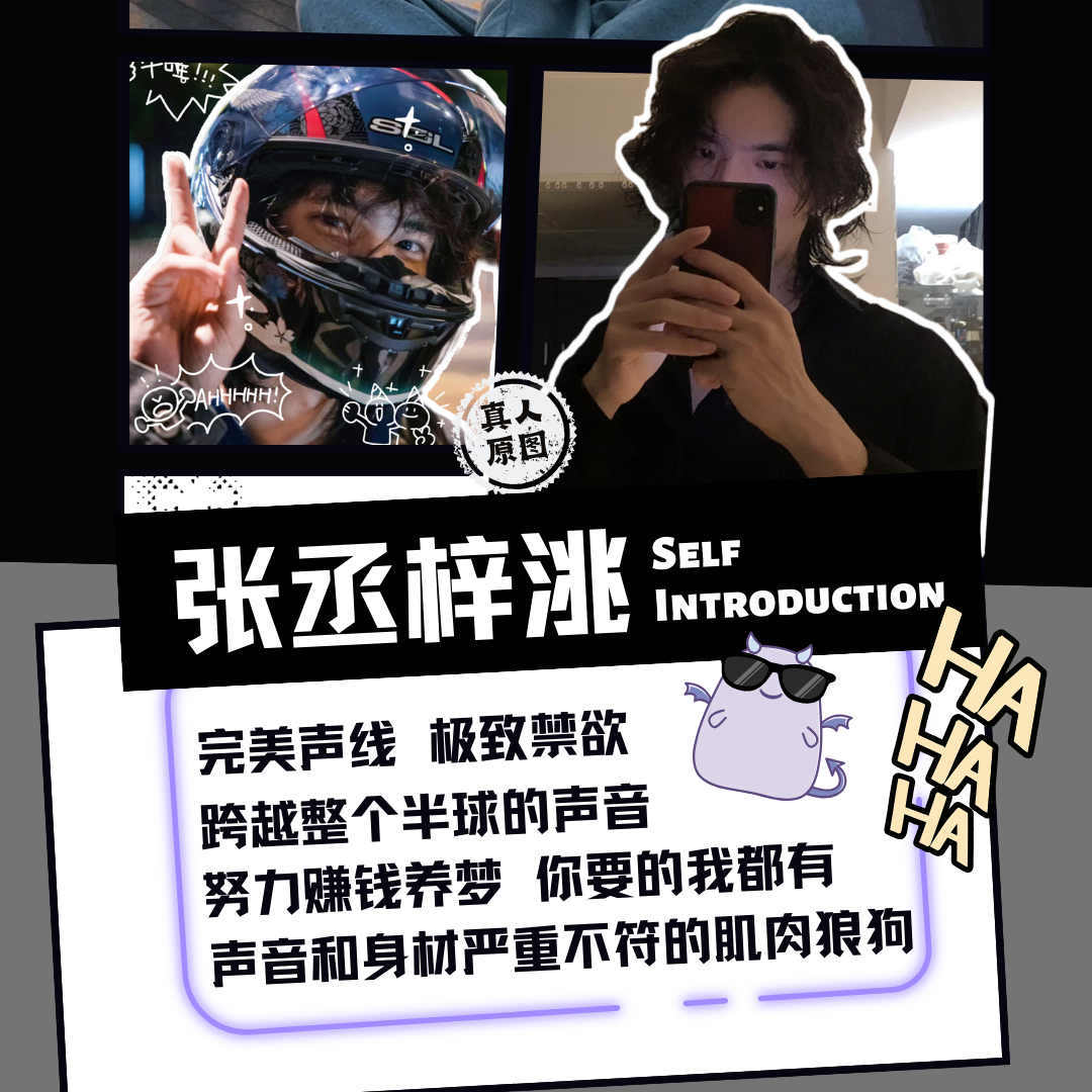 皮囊（犬儒乐队）封面