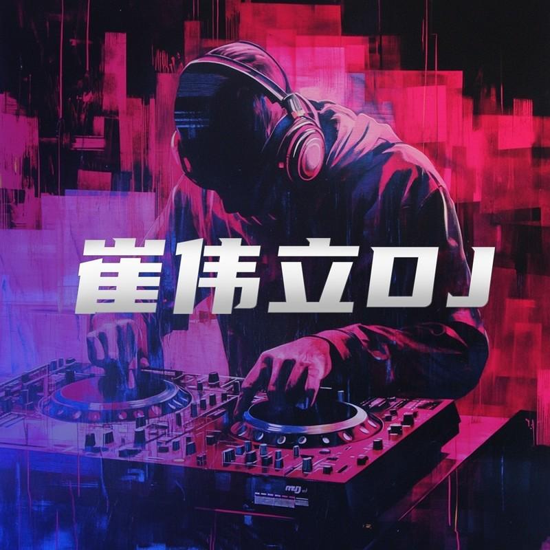飞蛾扑火 (DJ九零版伴奏)封面