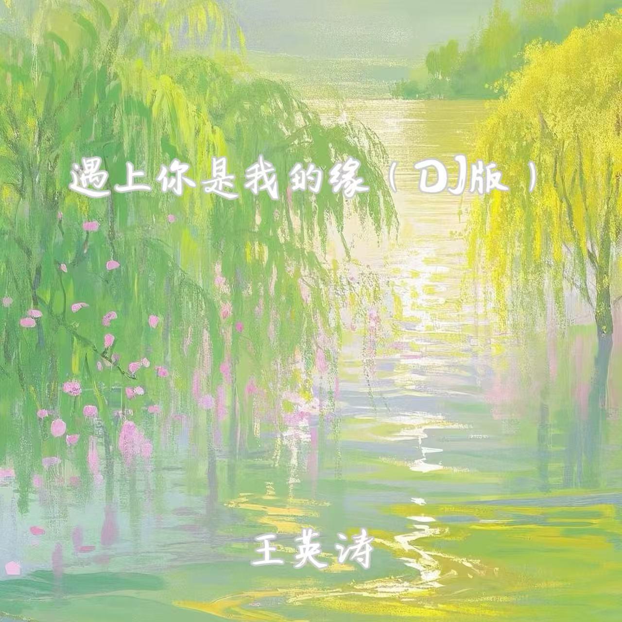 遇上你是我的缘 (DJ版) - 王英涛封面