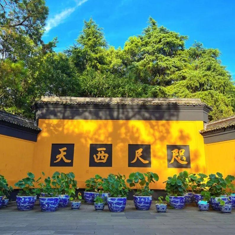 鞋儿破帽儿破封面