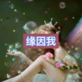 诛心泪 (繁星版) - 月一、7妹封面