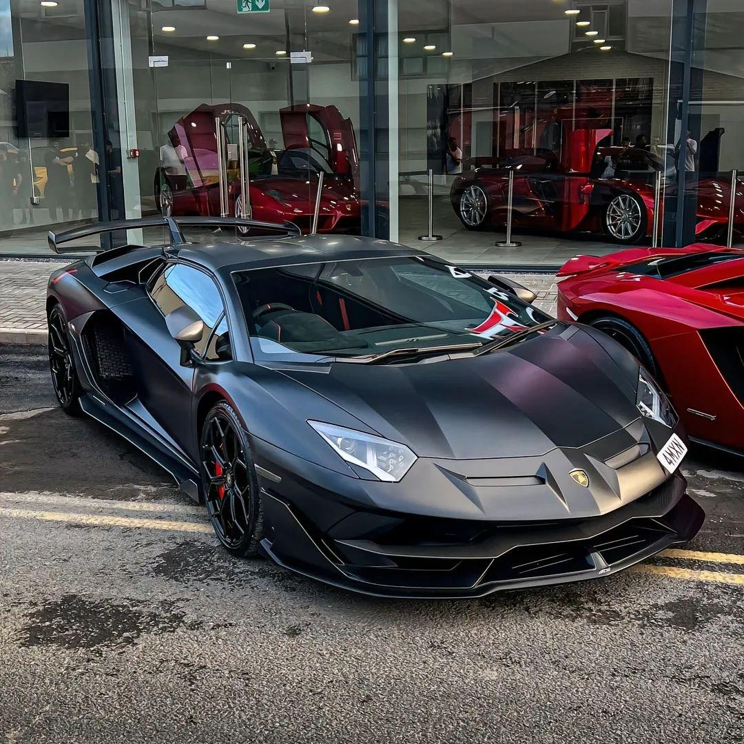 Dale Don Dale（抖音版）