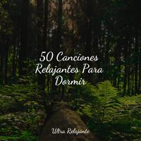 50 Canciones Relajantes Para Dormir