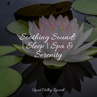 Soothing Sounds | Sleep | Spa & Serenity