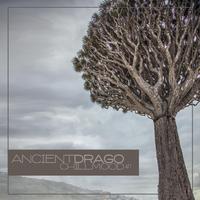 Ancient Drago, Chill Mood #1