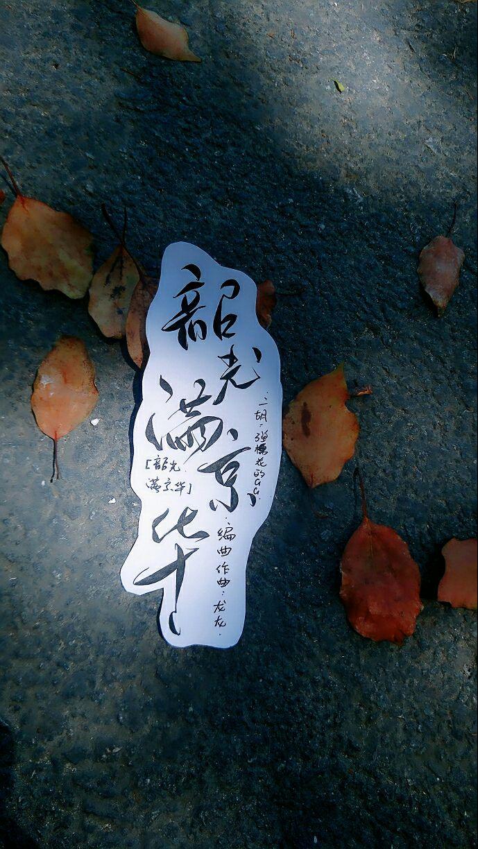韶光满京华（纯音乐） - 二胡封面