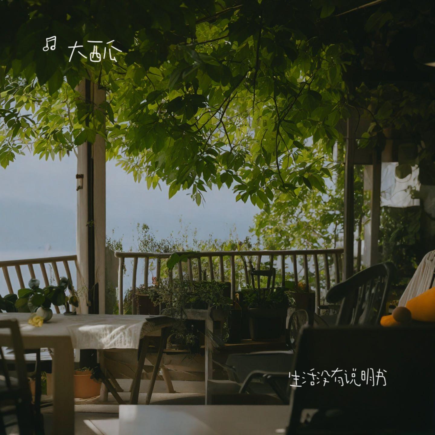 生活没有说明书封面