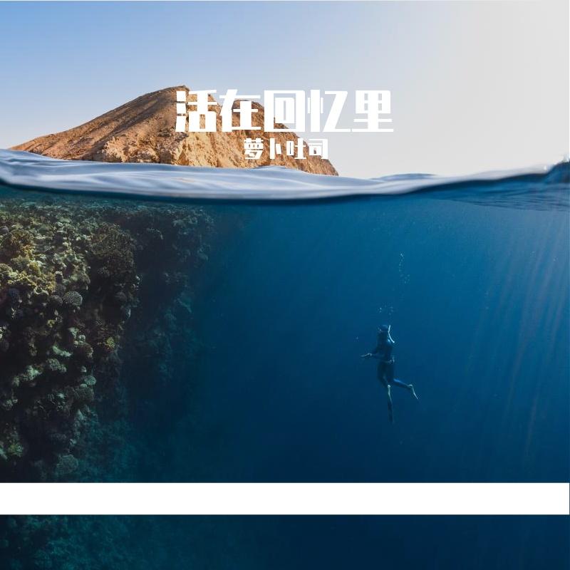 活在回忆里（Prod EVOMUSIC) - LeZic23封面