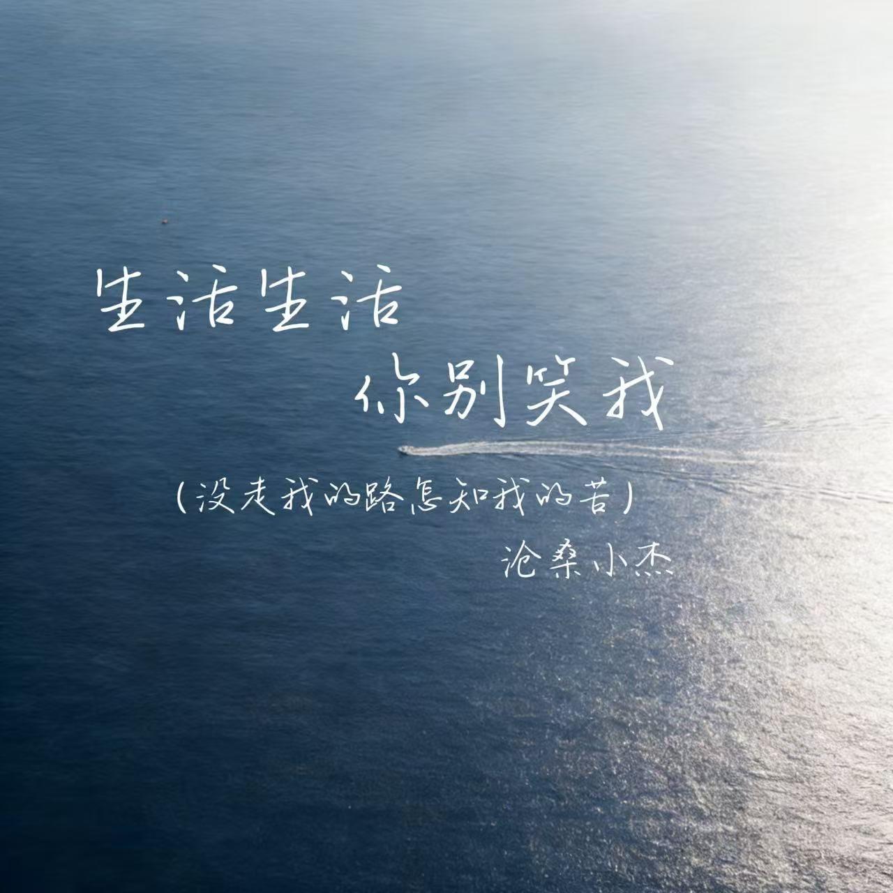 生活生活你别笑我（没走我的路怎知我的苦）