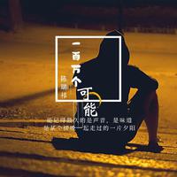 一百万个可能
