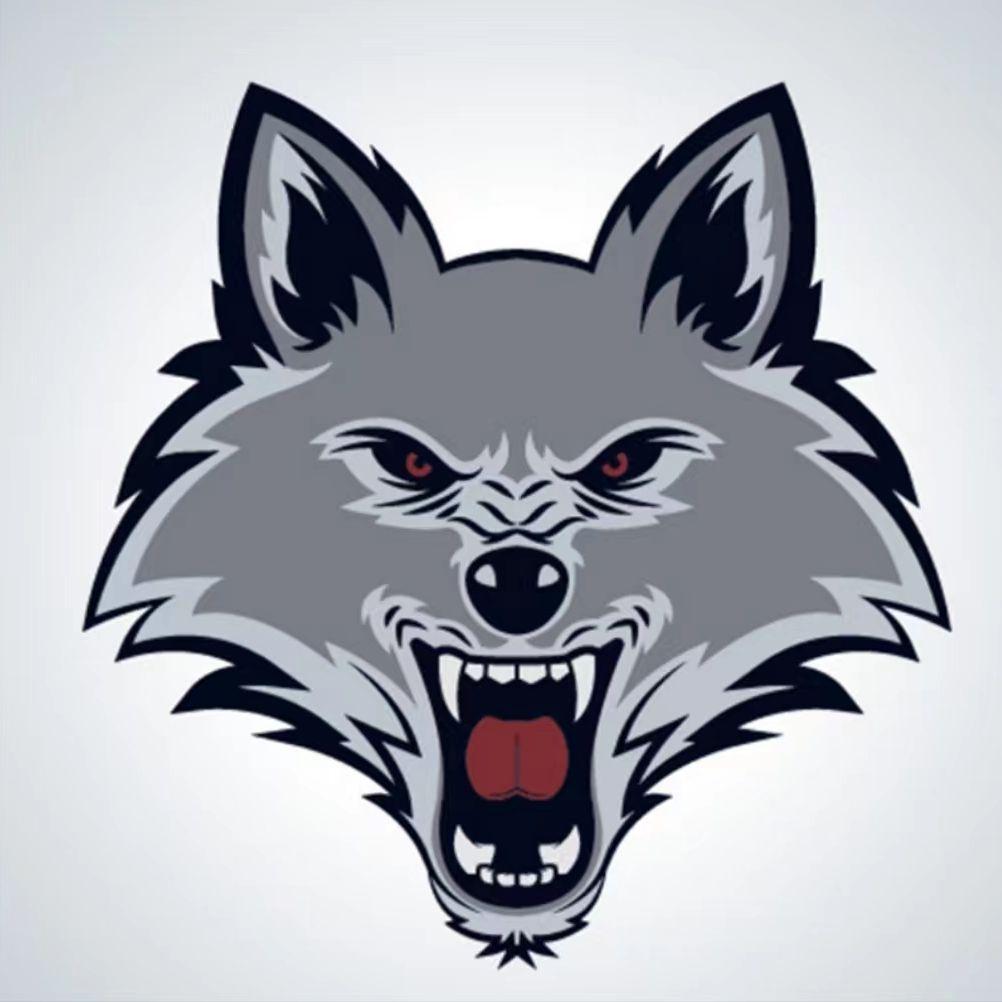 假狼（Prod by Cassy）