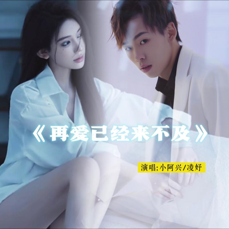 再爱已经来不及封面