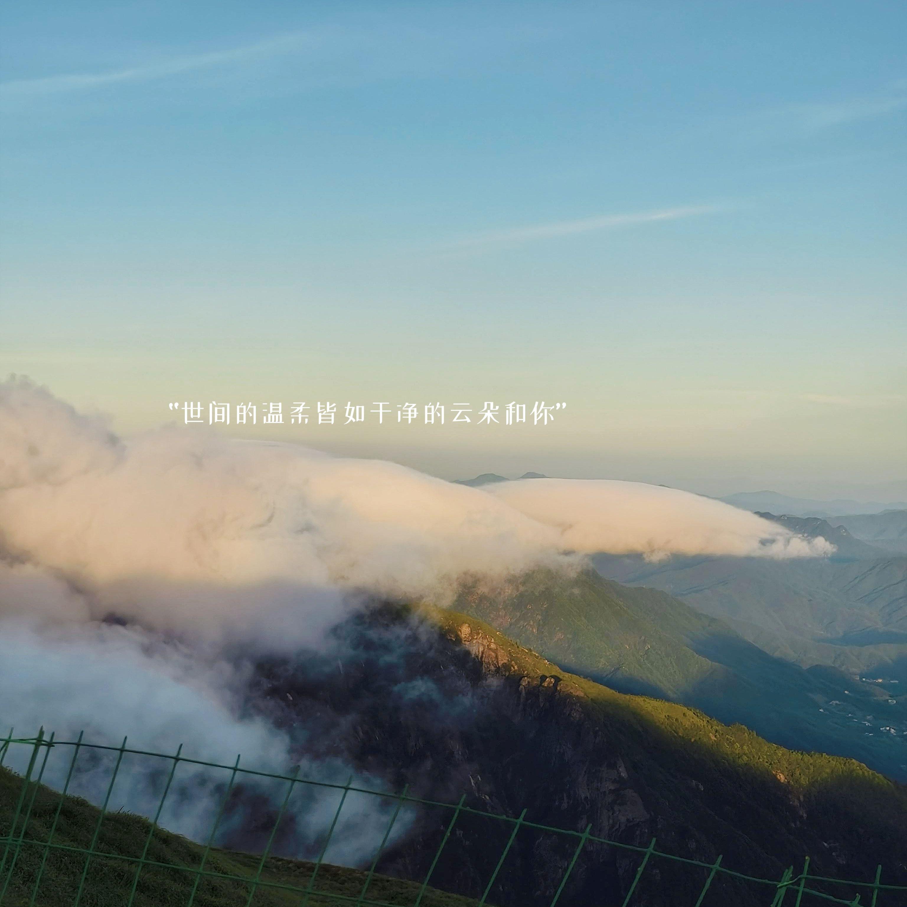 神秘嘉宾（cover 林宥嘉）封面