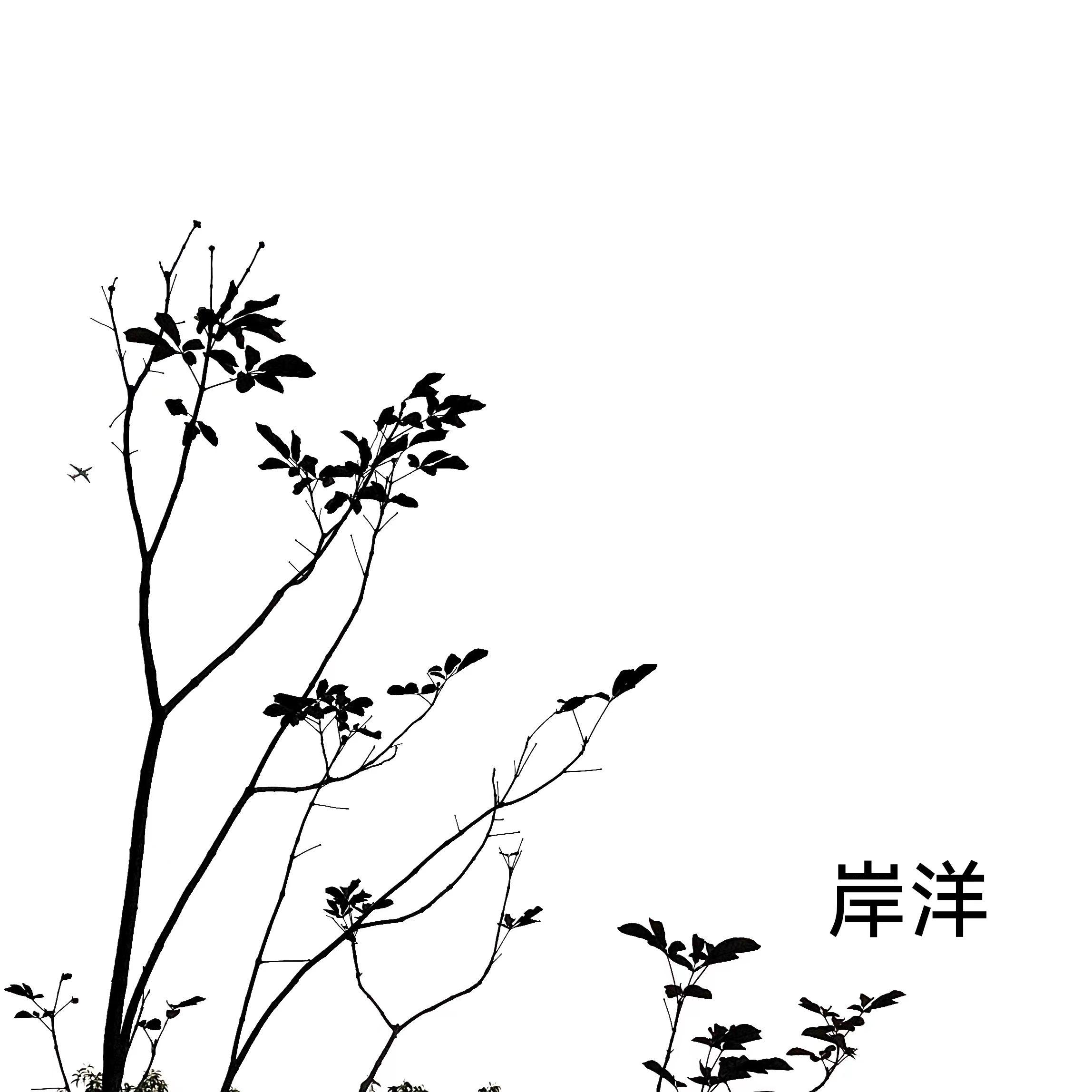 像是一颗星星（cover;杨丞琳）封面