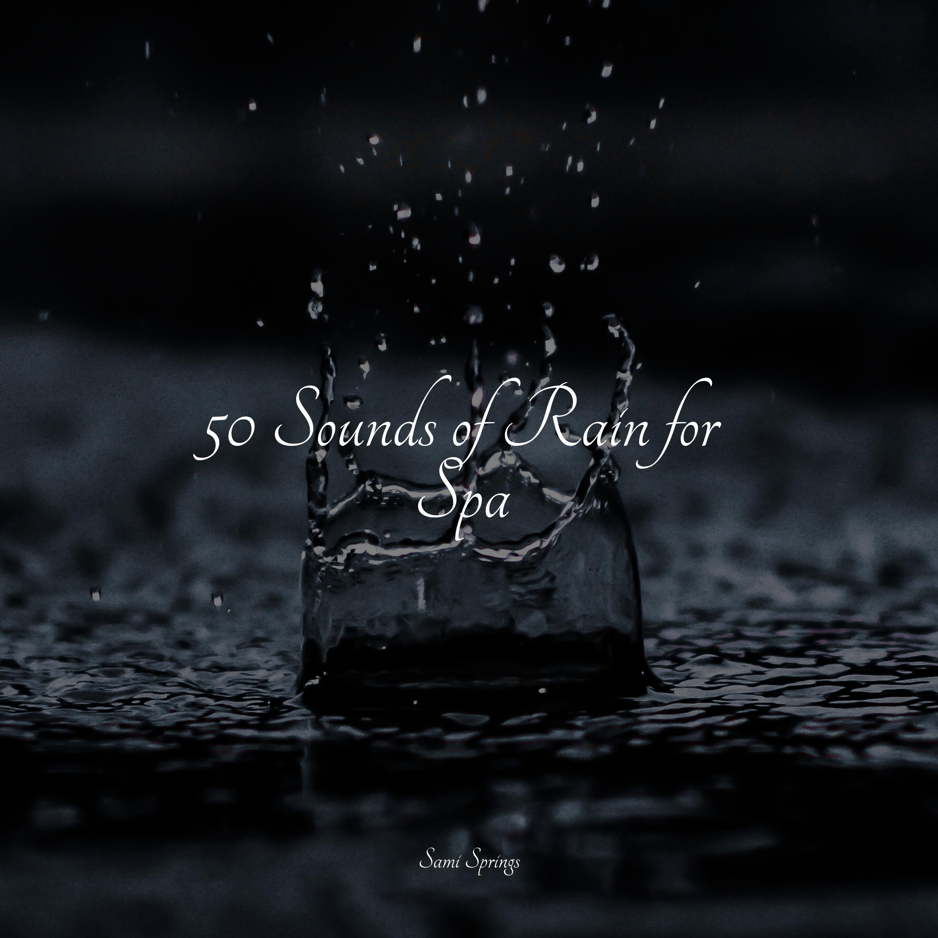 Windy, Gentle Rains_Nature Sounds for Concentration_50 Sounds of Rain for Spa | 在线播放_Windy, Gentle Rains歌词_Windy, Gentle Rains下载 | 网易云音乐