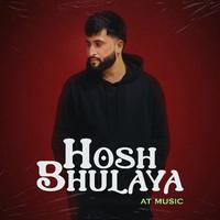 Hosh Bhulaya