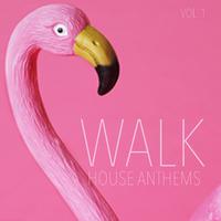 Walk House Anthems, Vol. 1