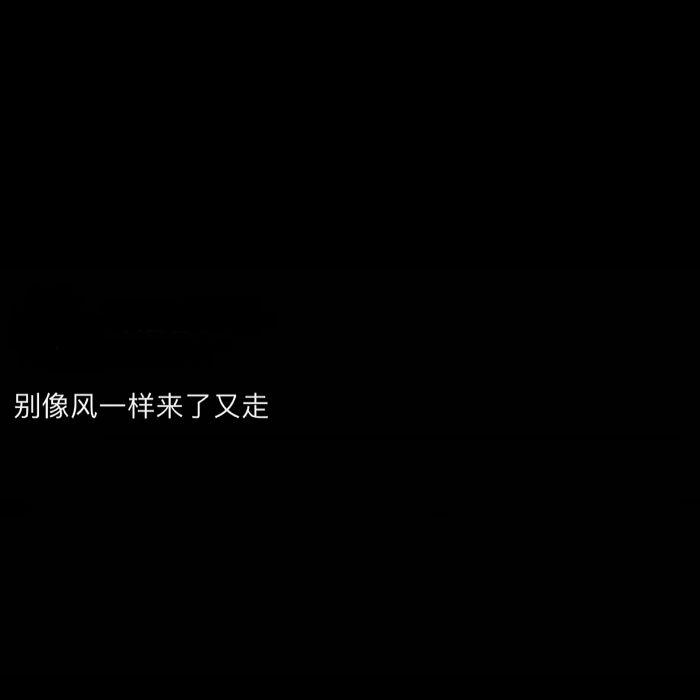 追寻着我的梦想封面